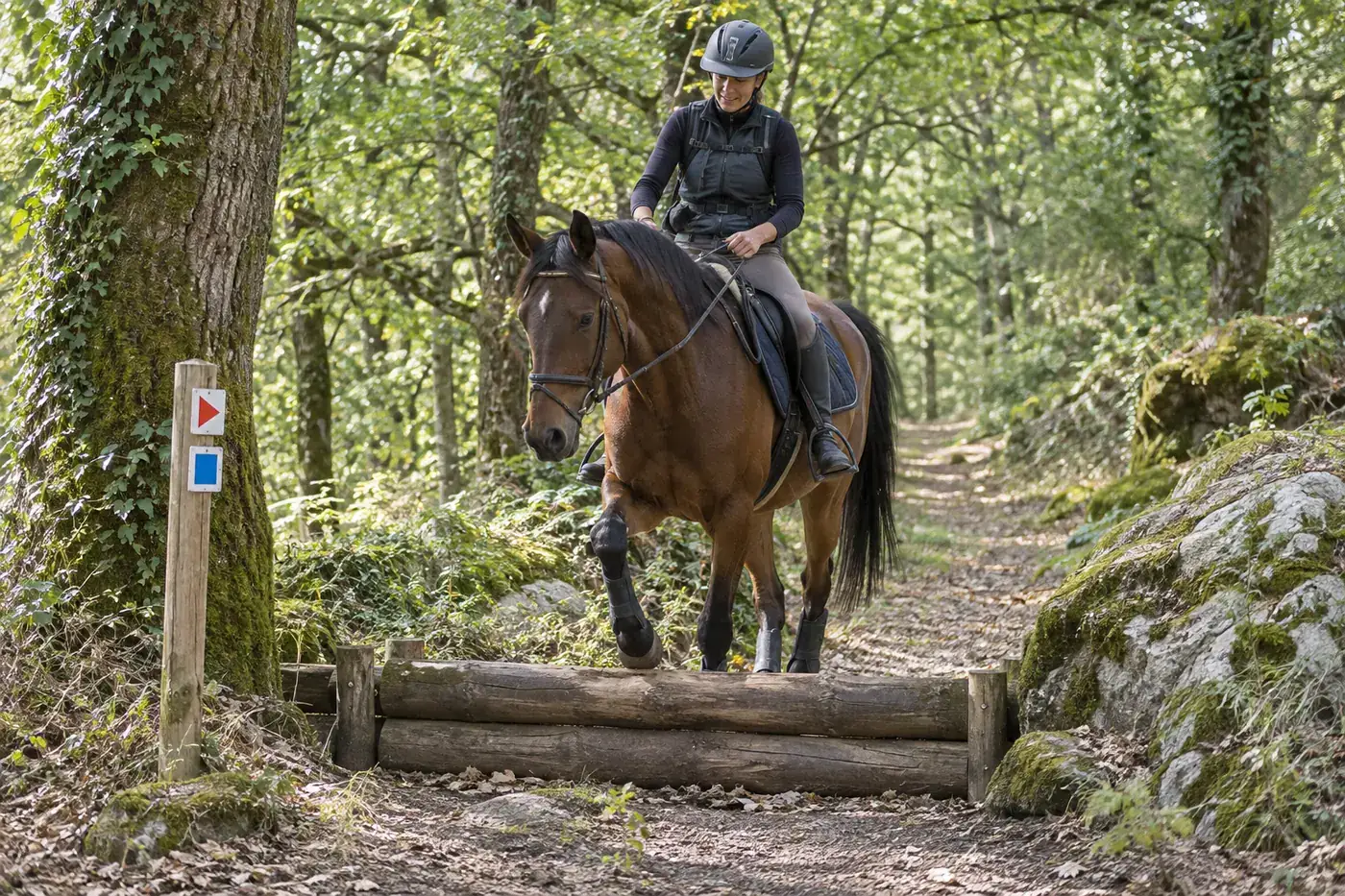 Deux cavaliers lisant une carte sur un chemin de randonnée