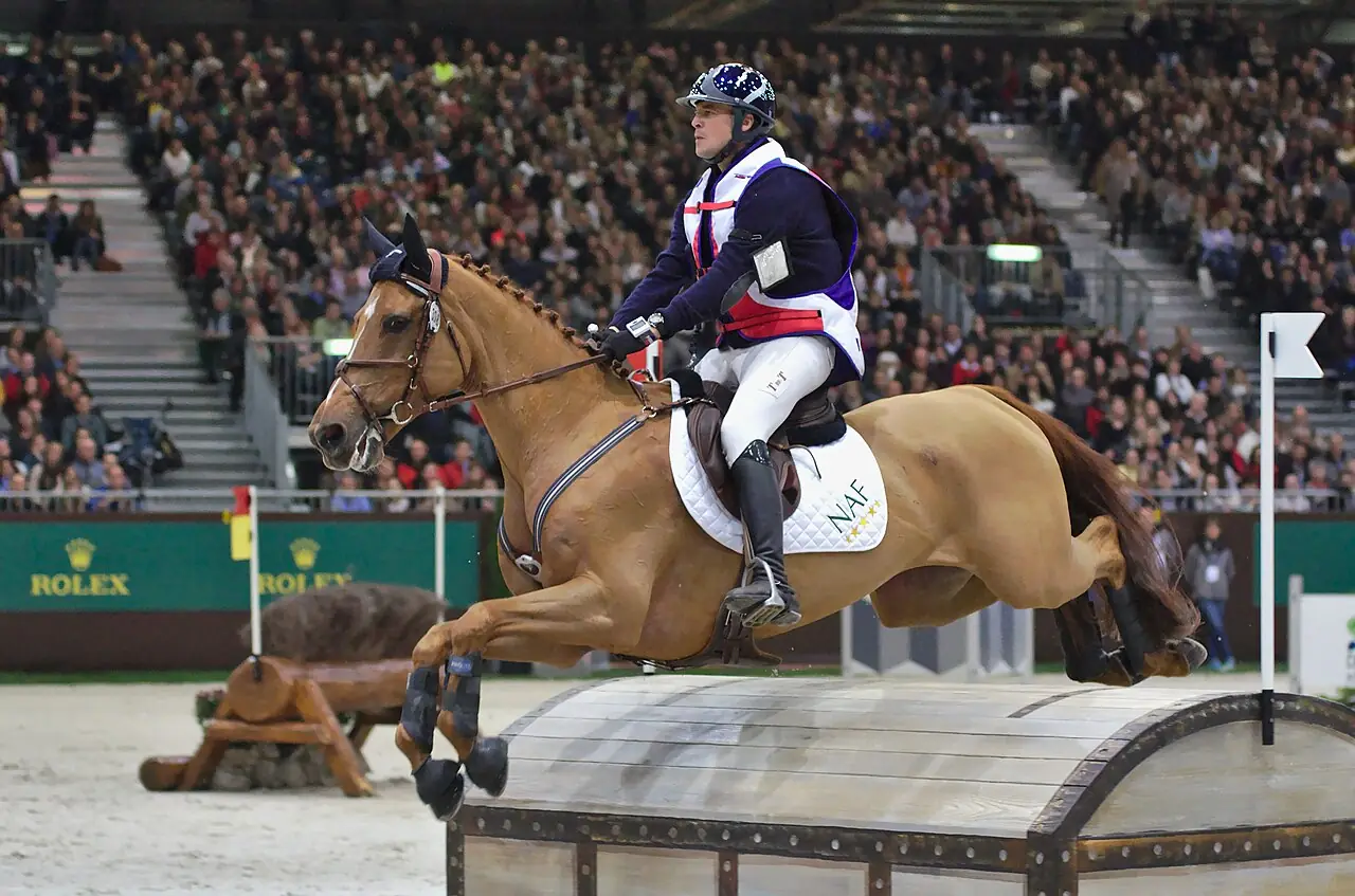 Cheval Anglo-Arabe franchissant un obstacle de concours complet.