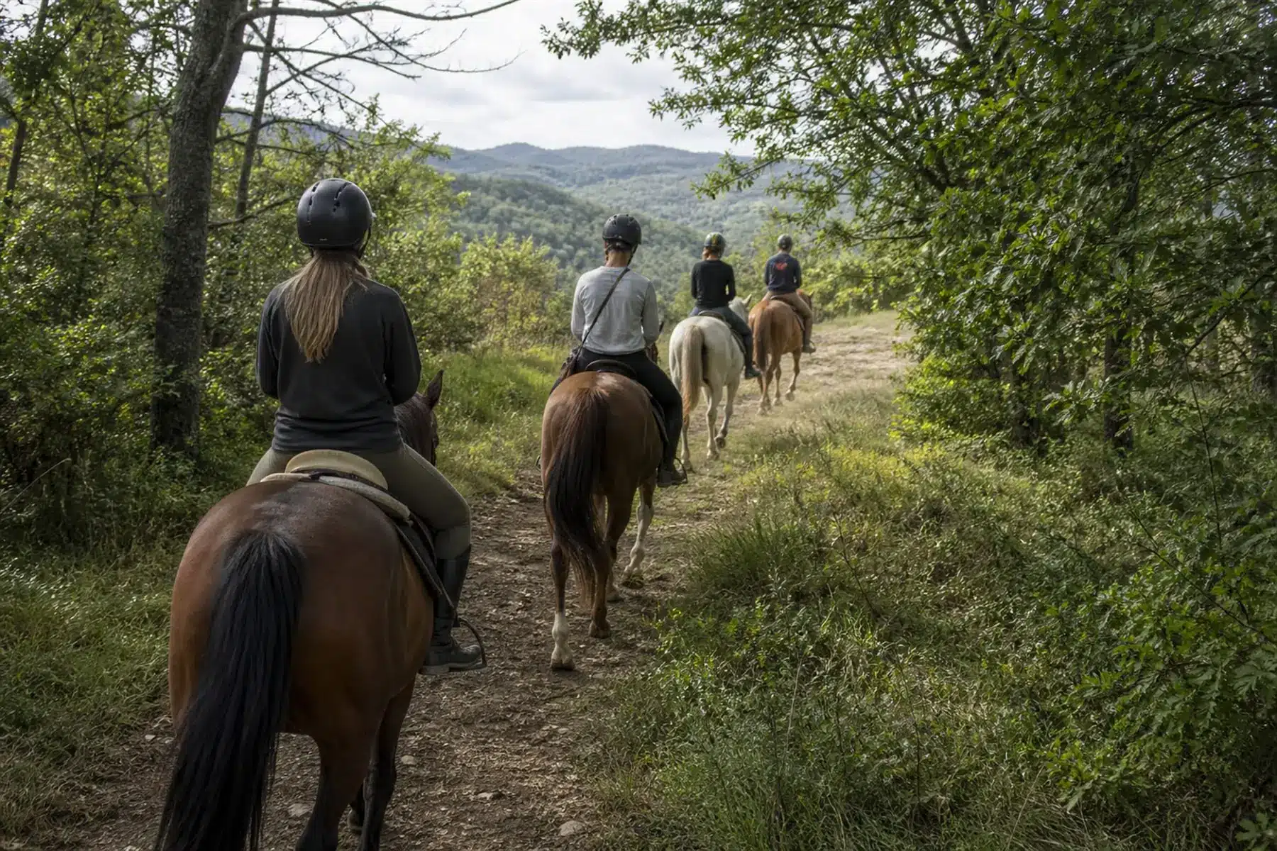 Préparer une randonnée à cheval